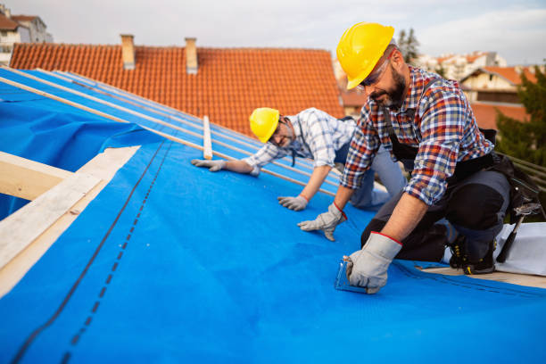 Best Roof Moss and Algae Removal  in Monfort Heights, OH