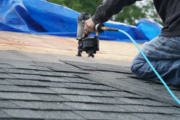 Best Chimney Flashing Repair  in Monfort Heights, OH